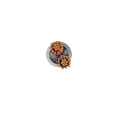 TSFXUSP118LSZHGRY